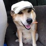 Profile Picture of Fiona O’Sullivan (@osullivan280) on Instagram