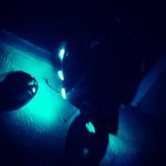 Profile Picture of dustin Steffen (@dustin_braa) on Instagram