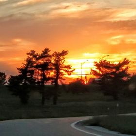 Jimmy Story - Pinterest Profile Picture of Jimmy Story (@storyofjimmy) on Pinterest