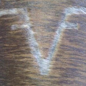 Profile Picture of Tim Vaughn (@FlyinVRodeo) on Youtube