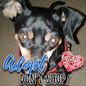 Profile Picture of Shelly Elizabeth Rust (@shellyelizabethrust493) on Youtube