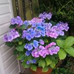 Profile Picture of Morag Smith (@morag.smith) on Instagram