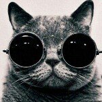 Profile Picture of Mr.sugar (@howardsugar) on Instagram