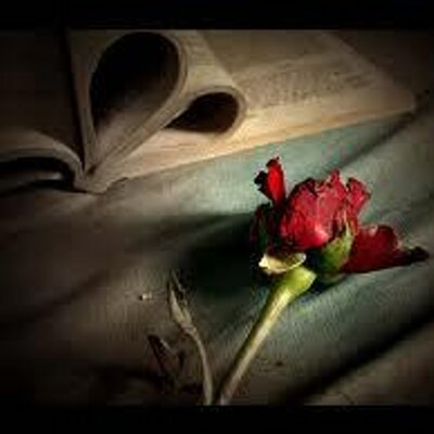 Mohamed Badri - Twitter Profile Picture of Mohamed Badri (@Mohamedbadri5) on Twitter