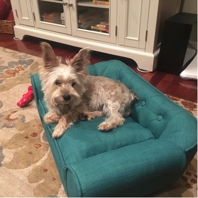 Profile Picture of Marsha Hefner (@marshashefner) on Twitter