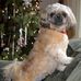 Profile Picture of Kim Meser (@profile.php) on Facebook