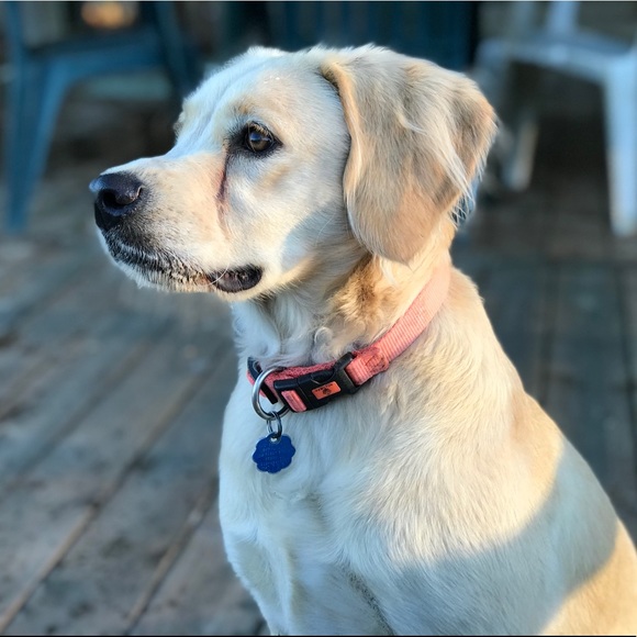 Profile Picture of Koryn Barrett (@korynbarrett) on Poshmark