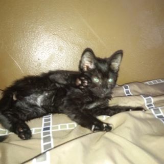 Profile Picture of Michael Belman (@michael.belman.923) on Facebook