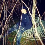 Profile Picture of Albert Alexander Mathis (@albi.mathis) on Instagram