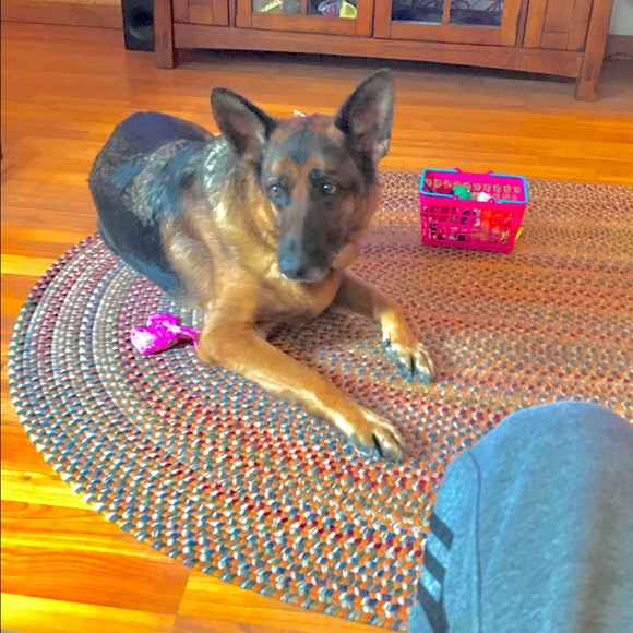 Profile Picture of Nicholas Travassos (@nickk1827) on Poshmark