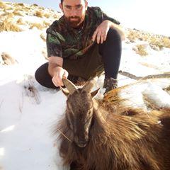 Profile Picture of Matt Priest (@mattpriest2) on Tiktok