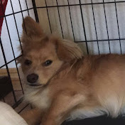 Profile Picture of Brian Hacsunda (@BrianHacsunda) on Youtube