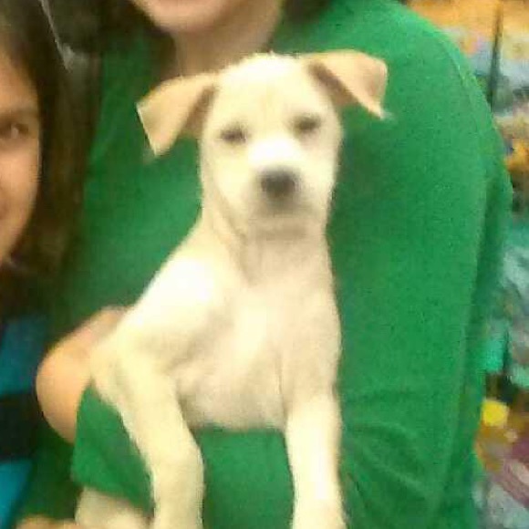 Eva Freites - Poshmark Profile Picture of Eva Freites (@evafreites) on Poshmark