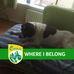 Profile Picture of John Mulvihill (@john.mulvihill.904) on Facebook