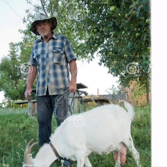 Andy Junior - Poshmark Profile Picture of Andy Junior (@andy_junior) on Poshmark