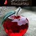 Profile Picture of Sameh Soliman (@sameh.semsm.9) on Facebook