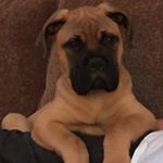 Profile Picture of Gus (@suenellparrish) on Instagram