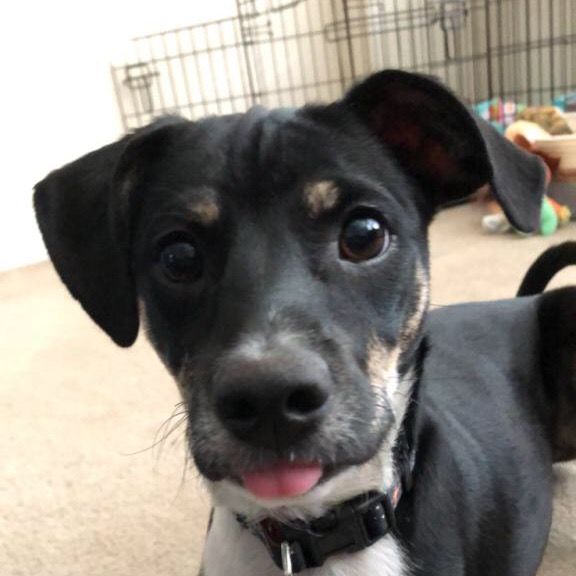 Profile Picture of JimmyLittles (@jimmy_littles) on Tiktok