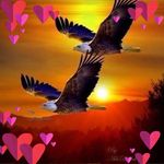 Profile Picture of Cory Corriveau (@rene.corriveau6576) on Instagram