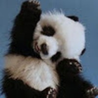 Profile Picture of Annabelle Foster (@annabelle-foster-17) on Quora