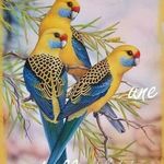 Profile Picture of Charlène quitiera (@quitiera) on Instagram