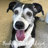 Profile Picture of James Sadie (@james-sadie-1) on Quora