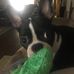 Profile Picture of Joyce Qualls (@joyce.qualls.14) on Facebook