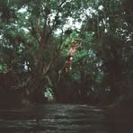 Profile Picture of Joseph Rohan (@joseph.5nahor) on Facebook