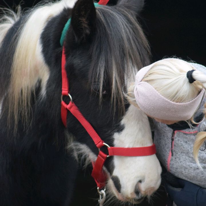 Janet Grass - Tiktok Profile Picture of Janet Grass (@janetgrass) on Tiktok