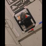 Profile Picture of sofia maona elysia (@sofiamaonaelysia) on Instagram