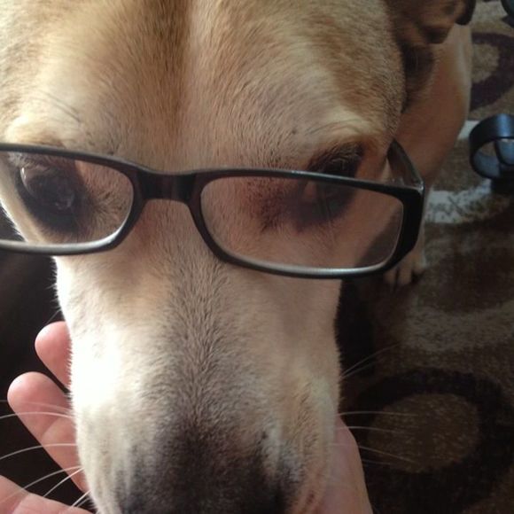 Profile Picture of Pat Baumgaertel (@mystee51) on Poshmark