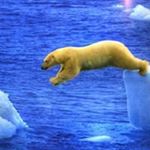 Profile Picture of David Wenninger (@wenninger.david) on Instagram