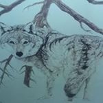 Profile Picture of Tracy Cotten (@tracycotten) on Instagram