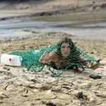 Corinna Frank - Instagram Profile Picture of Corinna Frank (@dieunverpackteveganewahrheit) on Instagram