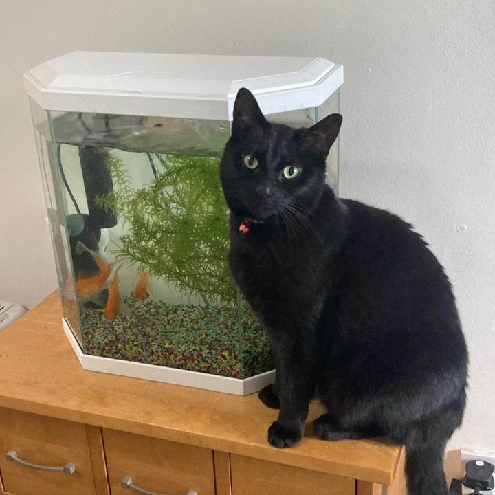 Profile Picture of kerry.wilkinson1977 (@@kerry.wilkinson) on Tiktok