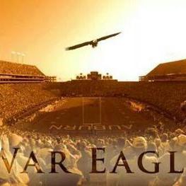 Profile Picture of Kerri Hines (@kerrihineslove) on Twitter