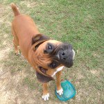 Profile Picture of Anne Callaway (@ahc14) on Instagram