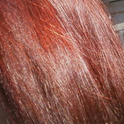 Profile Picture of Jeanna Key (@jeannakey2046) on Youtube