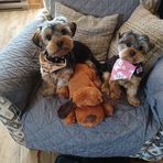 Profile Picture of Eleanor Clements (@eleanor.clements.393) on Facebook