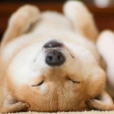 Profile Picture of Ariadna™ (@Ariadna_Ojeda18) on Twitter