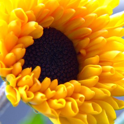 Profile Picture of Michael Paik (@Michaelpaik2) on Twitter