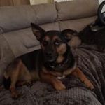 Profile Picture of Paul Worsley (@p_worsley) on Instagram