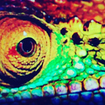 Mark Passick - Flickr Profile Picture of Mark Passick (@mhpassick) on Flickr