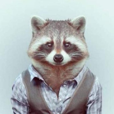 Profile Picture of Eric Hsu (@erichsu900817) on Twitter