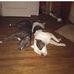 Profile Picture of Stephan Evans (@stephan.evans.376) on Facebook