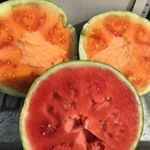 Profile Picture of Darnell (@just_produce_farmers_market_2) on Instagram