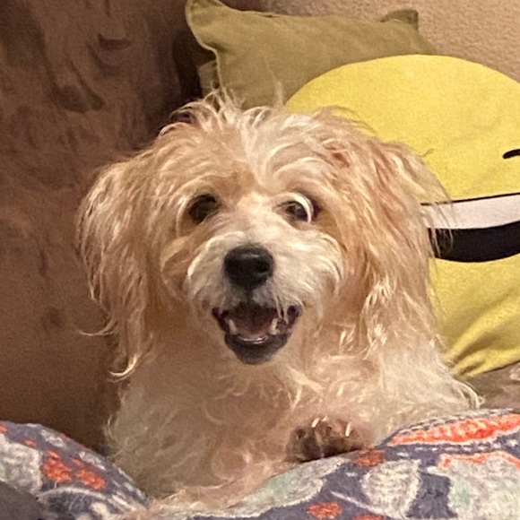 Profile Picture of Jared Santos (@jared292) on Poshmark