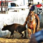 Profile Picture of Mark Mier (@mark_103) on Instagram