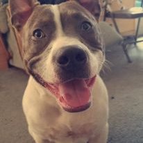 Profile Picture of Christopher Kinder (@Christo67112789) on Twitter