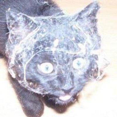 Profile Picture of Simon Wiggins (@simonrw81) on Twitter